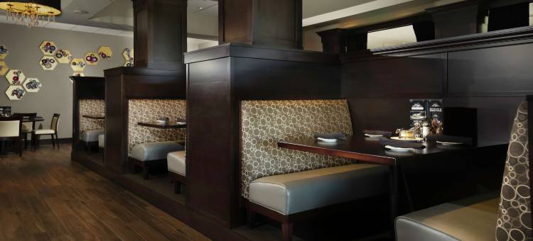 丹佛桑顿希尔顿花园酒店(Hilton Garden Inn Denver/Thornton)图片