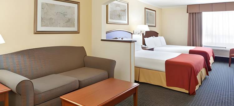 图森购物中心套房智选假日酒店(Holiday Inn Express & Suites Tucson Mall)图片