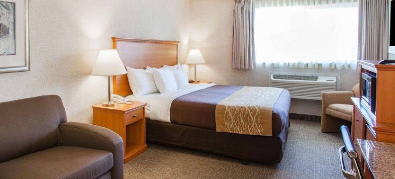 品质酒店-柯克兰(Quality Inn Kirkland)图片