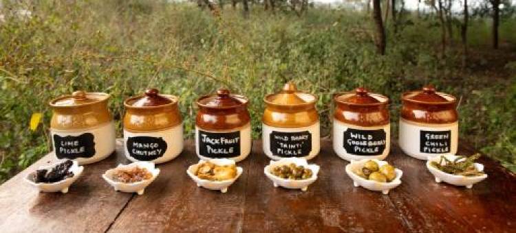 Mela Kothi - the Chambal Safari Lodge图片