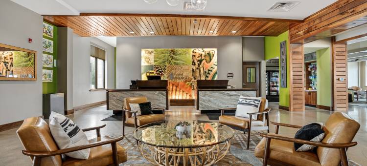 英迪格酒店-特拉弗斯市(Hotel Indigo Traverse City)图片