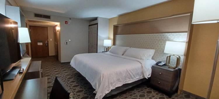 迈克艾伦医疗中心区假日酒店(Holiday Inn Mcallen – Medical Center Area)图片