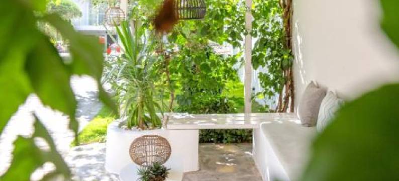 Villa Mediterrane Hotel图片