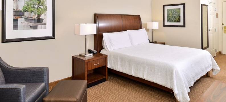 希尔顿花园酒店-达拉斯艾迪生(Hilton Garden Inn Dallas/Addison)图片