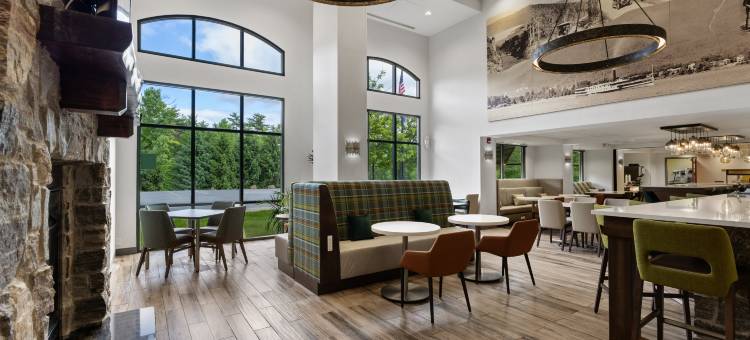 希尔顿欢朋套房酒店-乔治湖(Hampton Inn & Suites Lake George)图片
