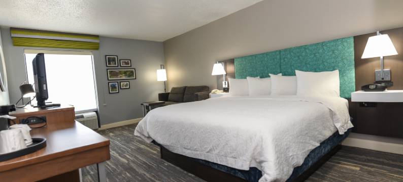 希尔顿欢朋酒店-扬斯敦北(Hampton Inn Youngstown-North)图片