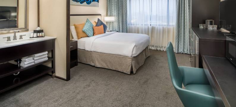 西雅图塔科马国际机场希尔顿安泊酒店(Embassy Suites by Hilton Seattle Tacoma International Airport)图片