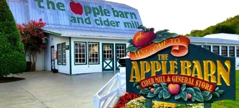 Family Favorite •"Glamping" Kids Bunk Room • Hot Tub with A View• Near Dollywood图片