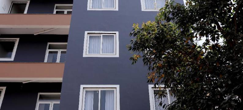 丁格拉酒店(Hotel Dhingra Inn)图片