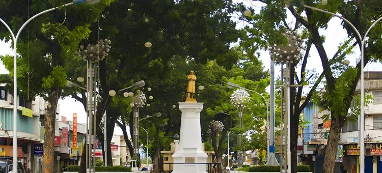 自然高级旅馆(Nature's Pensionne House)图片