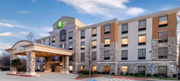 智选假日套房酒店达拉斯的南 - 迪索托(Holiday Inn Express & Suites Dallas South - Desoto)图片