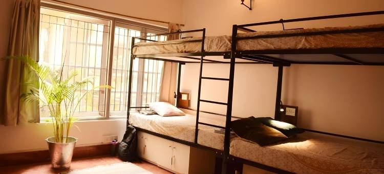 野性青年旅舍(BE Animal Hostel)图片