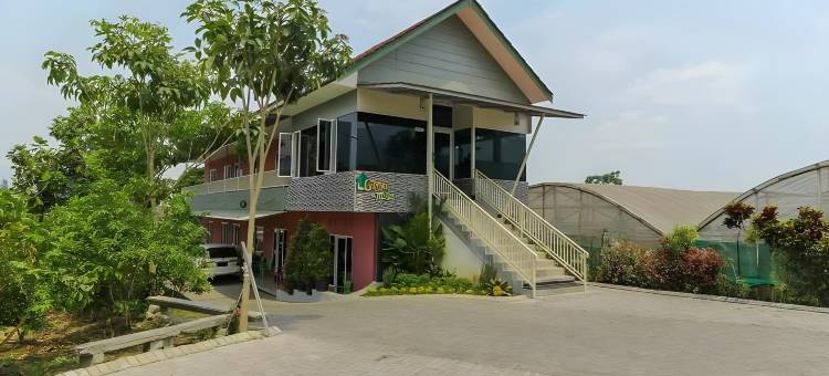 格利亚姆尔雅旅馆(Griya Mulya Near Alun Alun Batu Mitra RedDoorz)图片