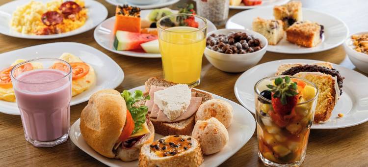 宜必思布卢梅瑙酒店(ibis Blumenau)图片