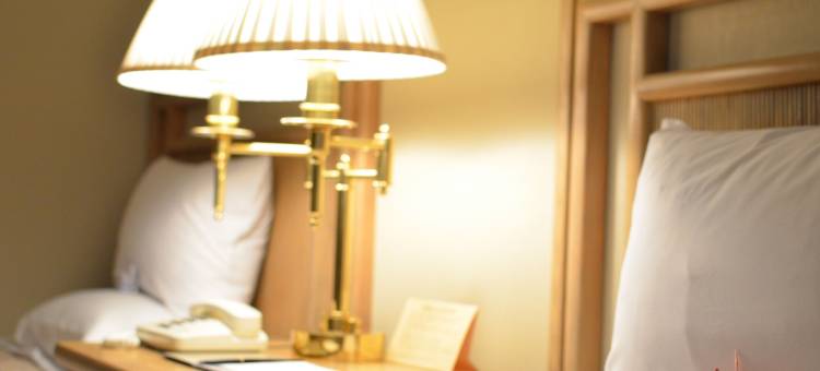 千叶科技园区大仓酒店(Okura Akademia Park Hotel)图片