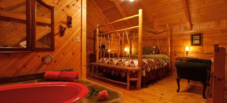 加特林堡阿拉斯加探险小屋酒店(Gatlinburg Adventure Cabins)图片
