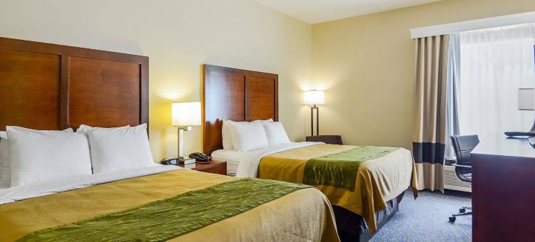 伍德斯托克仙纳度舒适酒店(Comfort Inn Woodstock Shenandoah)图片
