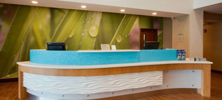 奥兰多莱克布纳维斯塔南SpringHill Suites 酒店(SpringHill Suites Orlando Lake Buena Vista South)图片