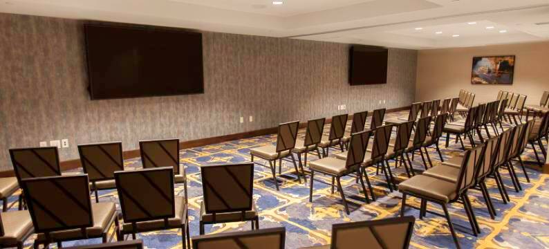 希尔顿花园酒店明尼阿波利斯大学区(Hilton Garden Inn Minneapolis University Area)图片