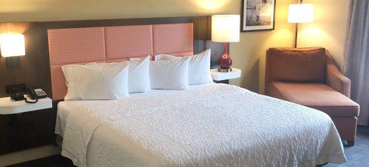 希尔顿欢朋套房酒店-诺福克机场(Hampton Inn & Suites Norfolk-Airport)图片