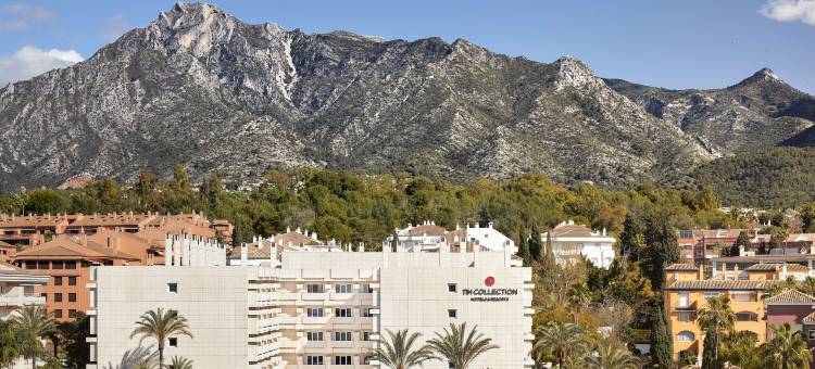 NH马贝拉酒店(NH COLLECTION MARBELLA)图片