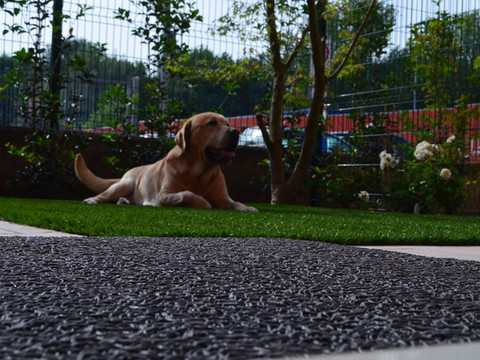 查尔梅利莱斯普斯特拉安蒂卡酒店