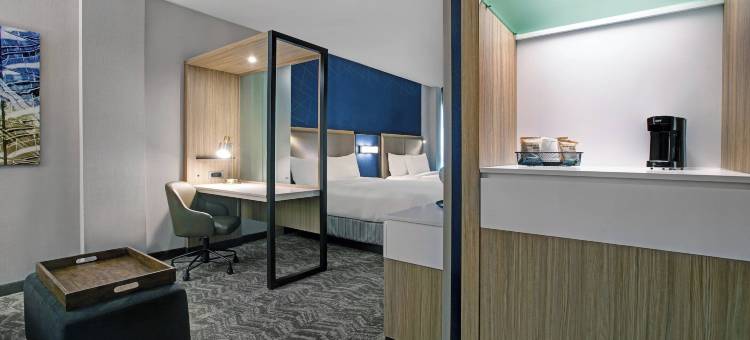 Marriott Franklin Cool Springs的SpringHill套房(SpringHill Suites Franklin Cool Springs)图片