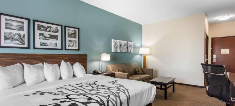 Sleep 旅馆 大斯普林北 I-20(Sleep Inn Big Spring North I-20)图片