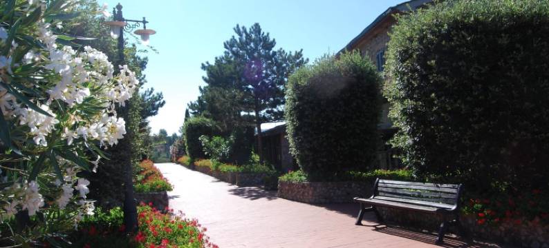 法托里亚望景楼酒店(Hotel Fattoria Belvedere)图片