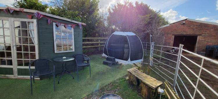 骆驼华丽露营酒店(Glamping with Llamas)图片