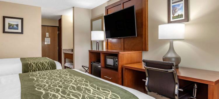 迪蒙代尔舒适套房酒店(Comfort Inn & Suites Dimondale - Lansing)图片