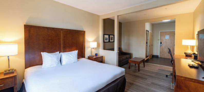 索内斯塔精选 - 巴吞鲁日机场(Sonesta Essential - Baton Rouge Airport)图片