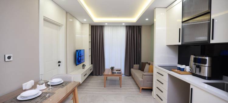 阿内蒙 迪亚巴克尔套房酒店(Anemon Diyarbakır Suit Hotel)图片