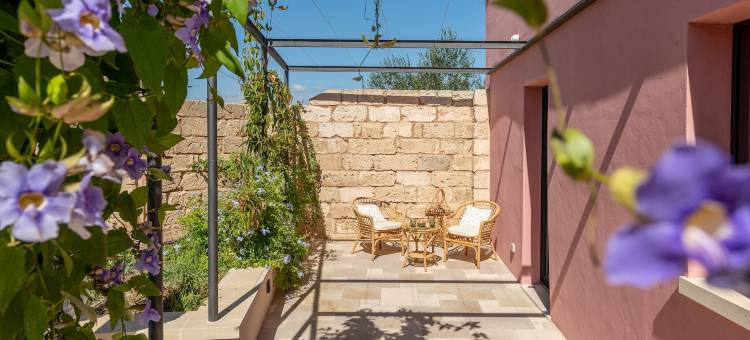 卡辛安南德(Casin Anand)图片