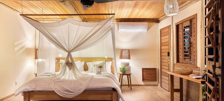 总是活着(Sempre Vivo)图片