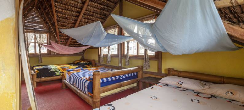 拉卡萨蒙皮切(La Casa Mompiche)图片