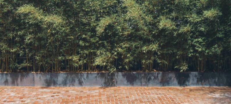 在砖石温泉和酒店(In the Brick Spa and Hotel)图片