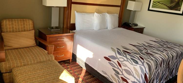 桃子树旅馆(Peach Tree Inn)图片