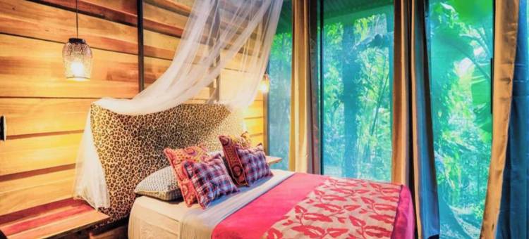 森林中的La Shamana生态概念酒店(La Shamana - Ecological Concept in Jungle)图片