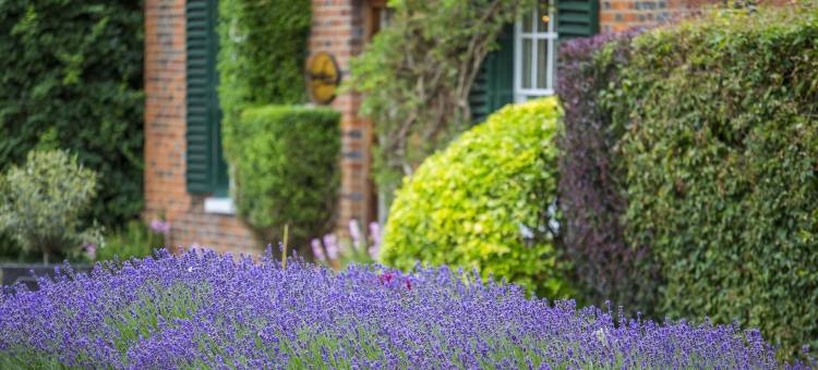 墨尔本旅馆(Melbourne Lodge)图片