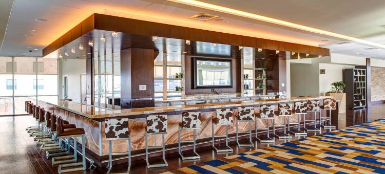 达拉斯万丽酒店(Renaissance Dallas Hotel)图片
