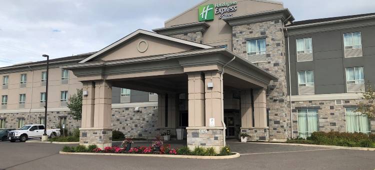 雷霆湾智选假日酒店(HOLIDAY INN EXPRESS & SUITES THUNDER BAY)图片