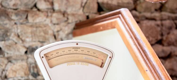 Garden & City 巴涅尔德比戈尔 - 拉蒙胡安庄园(Domaine de Ramonjuan)图片