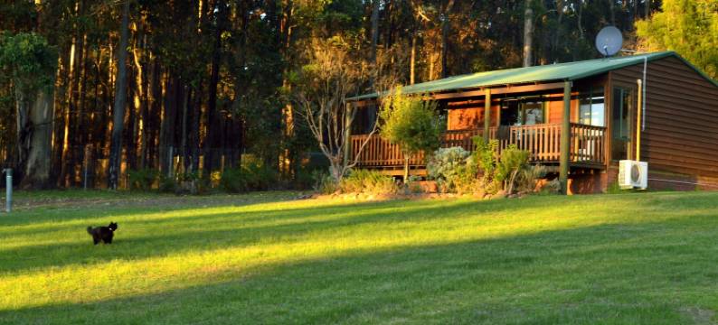 钻石林场农家乐(Diamond Forest Farm Stay)图片