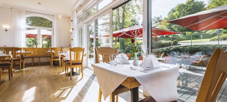 齐根多林特公园酒店(Dorint Parkhotel Siegen)图片