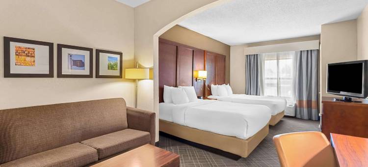 万塞讷舒适套房酒店(Comfort Suites)图片