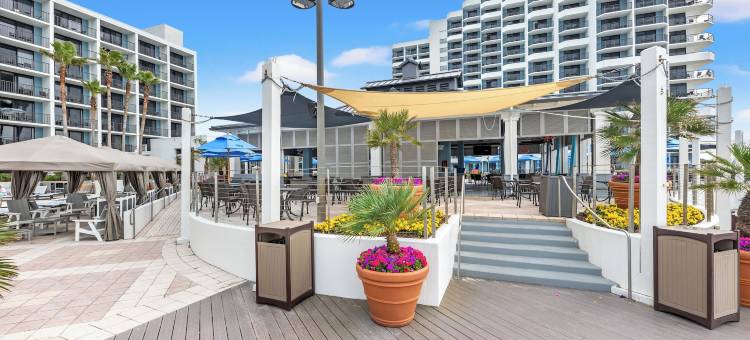 桑德斯丁海滩希尔顿高尔夫Spa度假酒店(Hilton Sandestin Beach Golf Resort & Spa)图片