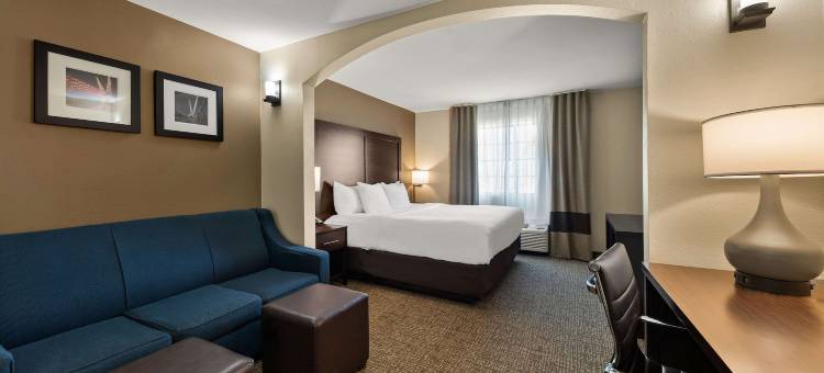 阿托卡舒适酒店(Comfort Inn & Suites Atoka)图片