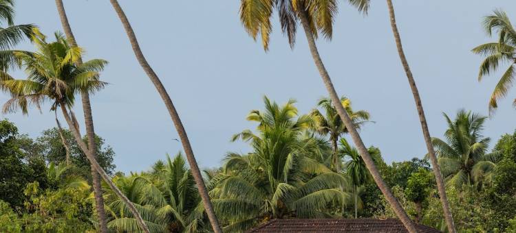 克兰加诺历史咖啡馆酒店(Cranganor History Café & Riverside Château)图片