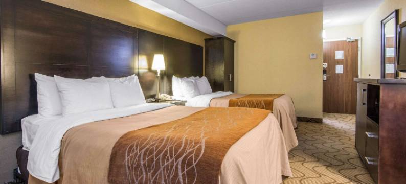 舒适酒店(Comfort Inn)图片